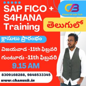 SAP FICO Online Training in Telugu